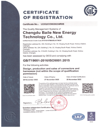 ISO 9001: 2015 english